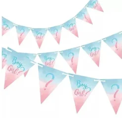 Boy or Girl? Gender Reveal Paper Pennant Banner, 15ft | 1ct