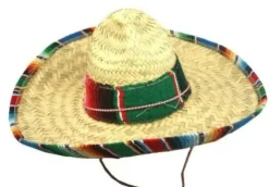 Child Multi-Colored Sombrero | 1ct