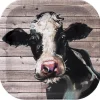 Farm Table Cow Square Plates 9" | 8 ct