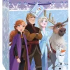 Frozen Large Gift Bag | 1ct