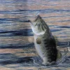 Gone Fishin Beverage Napkins 16pk | 1ct