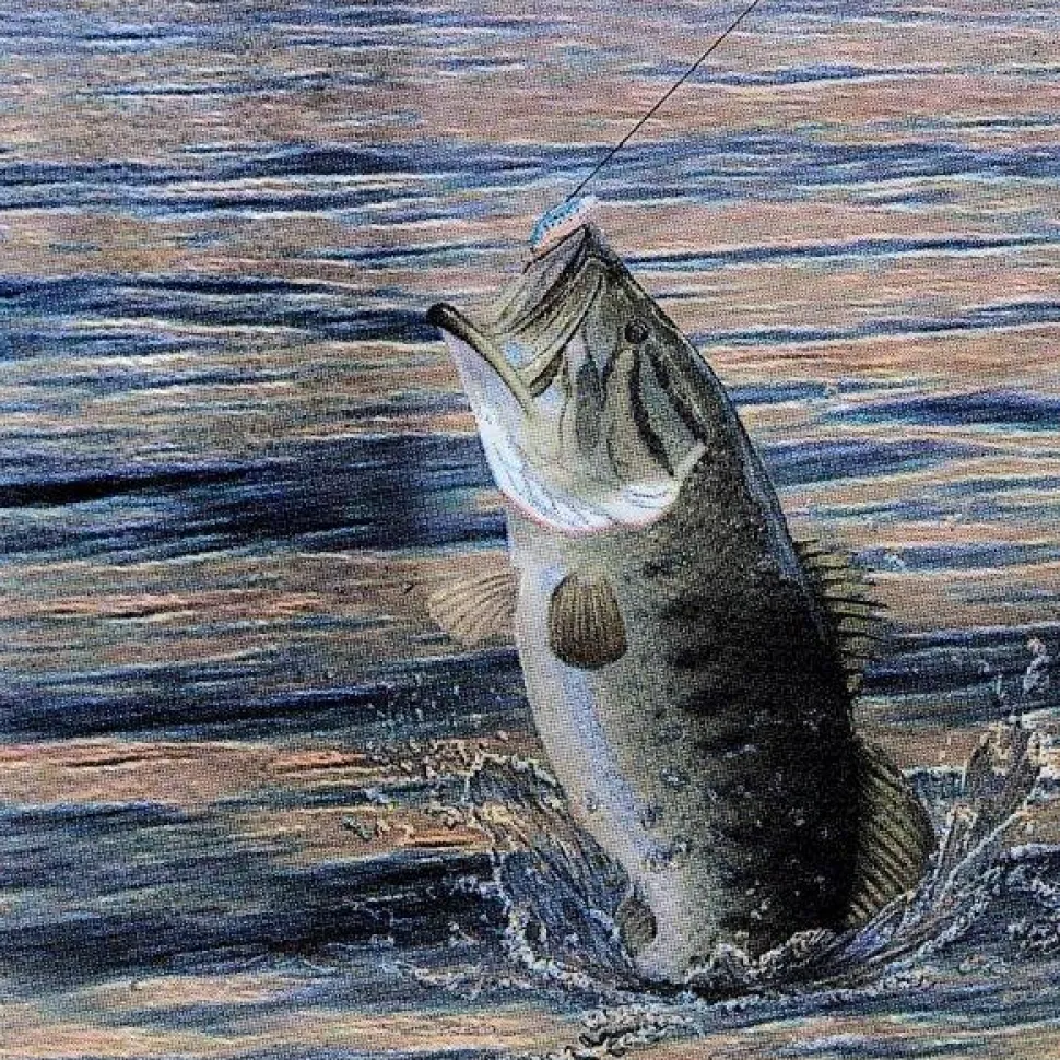 Gone Fishin Beverage Napkins 16pk | 1ct