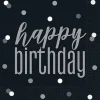 Happy Birthday Black Lunch Napkins | 16ct