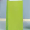 Lime Green Paper Bag | 12ct