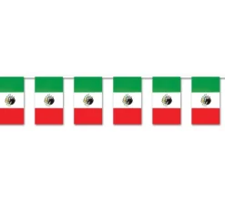 Mexican Flag Pennant Banner | 1ct