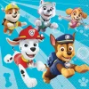 Paw Patrol Beverage Napkins | 16ct