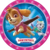 Paw Patrol Girl Paper Plates 9" | 8ct